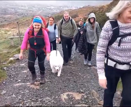 Snowdon2