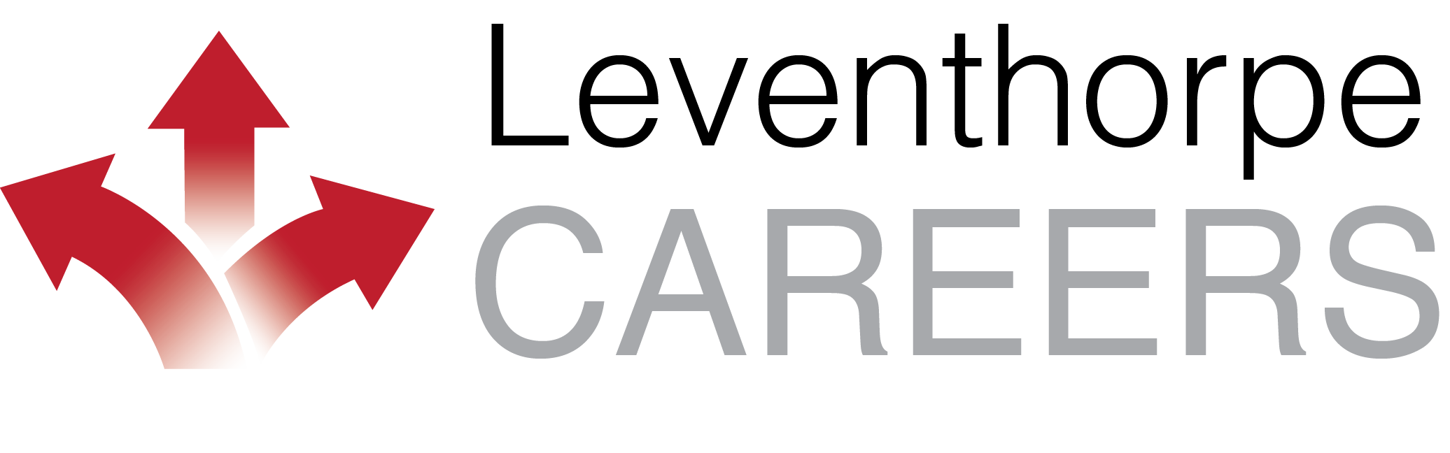 Careers Logo