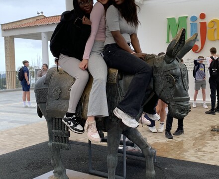 IMG 2182