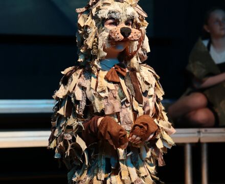 Img 7731