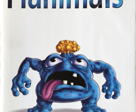 Flanimals book